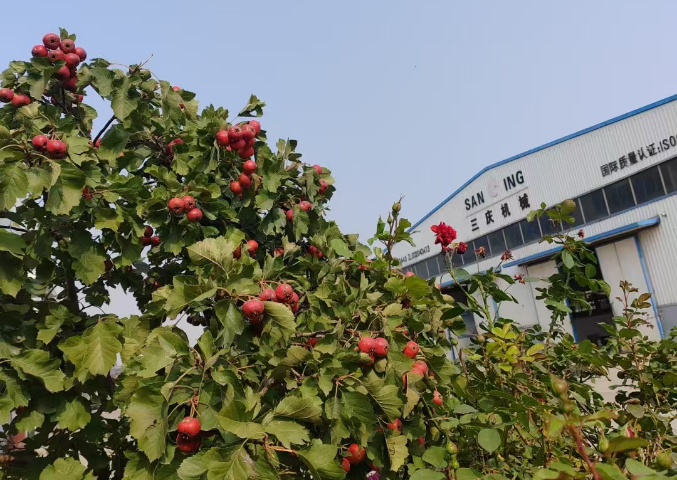 云顶集团(中国区)唯一官方网站